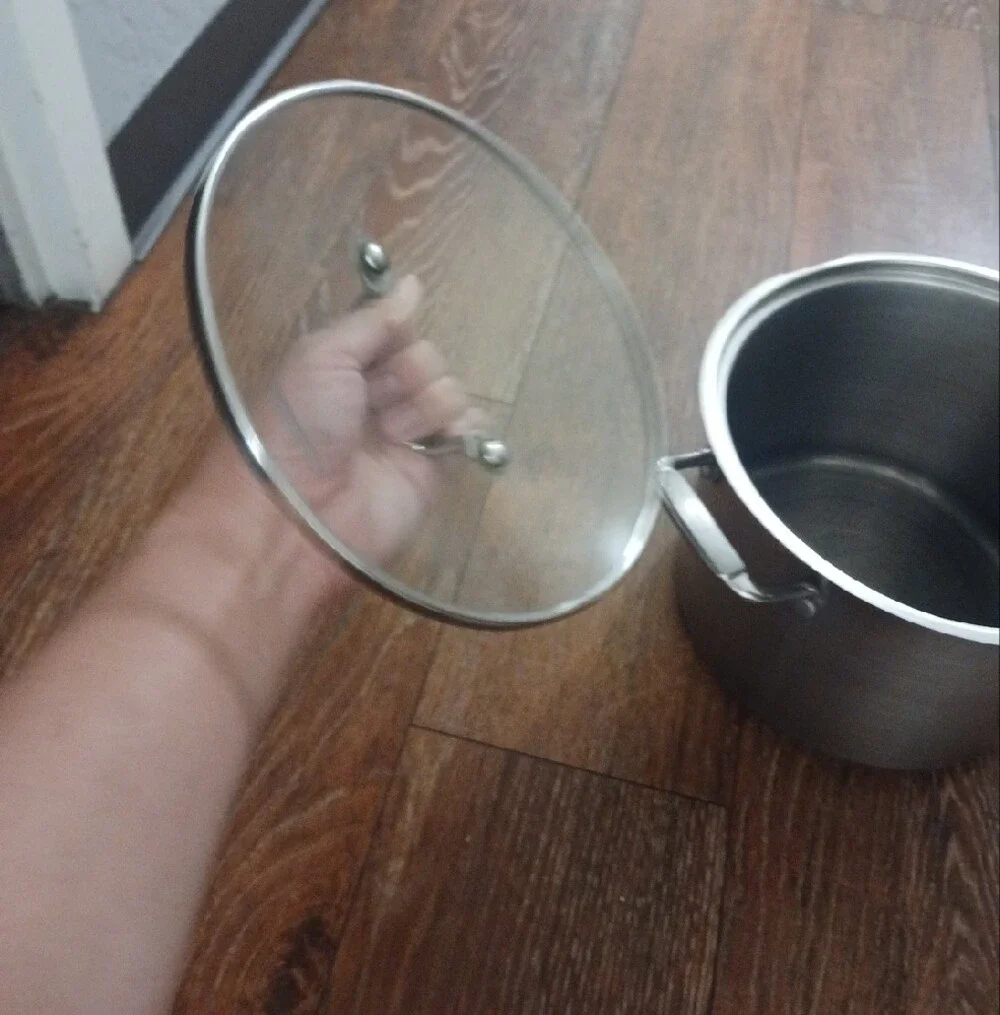 Tramontina Stainless Steel Stock Pot with Glass Lid - Silver